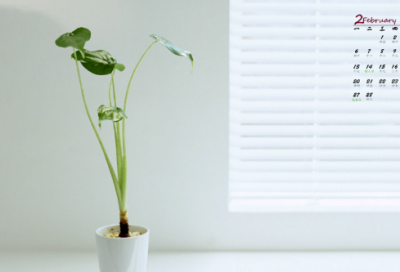 ​圣造句,用圣怎么造句