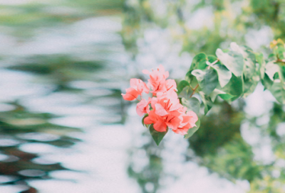 ​土里造句,用土里怎么造句