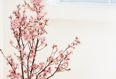 ​敢怒而不敢言造句,用敢怒而不敢言怎么造句