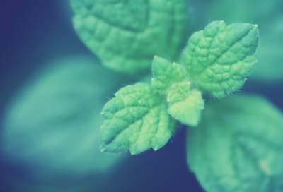 ​万里长城造句,用万里长城怎么造句