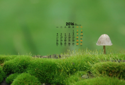 ​意中人造句,用意中人怎么造句