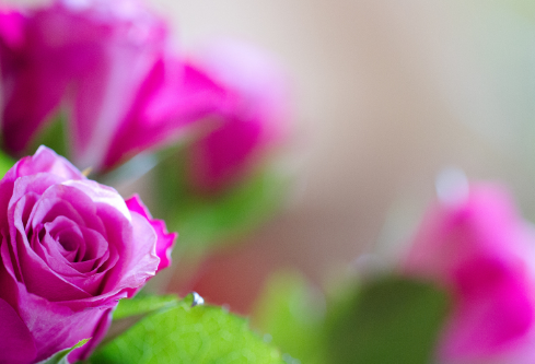 1689106789846815.png image.png