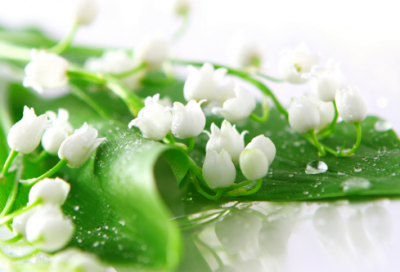 ​六神无主造句,用六神无主怎么造句