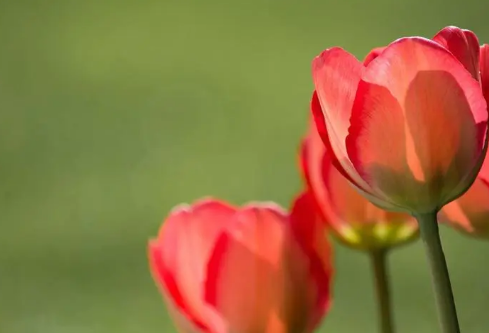 1689107289747424.png image.png