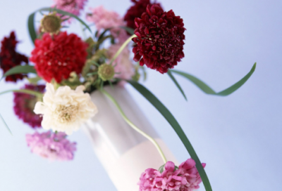 ​荷造句,用荷怎么造句