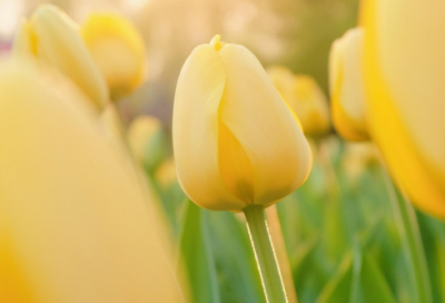 ​吞吞吐吐造句,用吞吞吐吐怎么造句