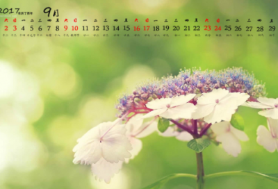 ​薇造句,用薇怎么造句