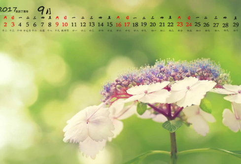 1689109122887468.png image.png