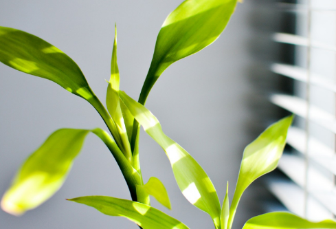 1689109456874474.png image.png