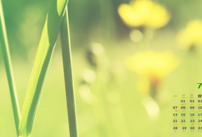 ​抑造句,用抑怎么造句