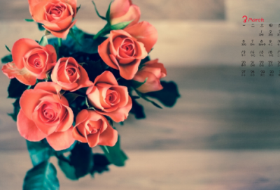 ​吊造句,用吊怎么造句