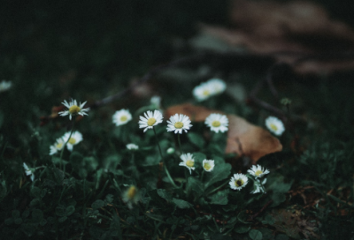 ​尽管造句,用尽管怎么造句