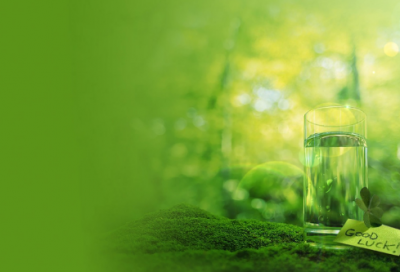 ​律造句,用律怎么造句