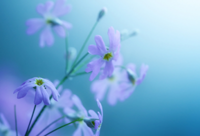 ​形象造句,用形象怎么造句