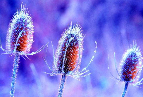 1689114455667820.png image.png