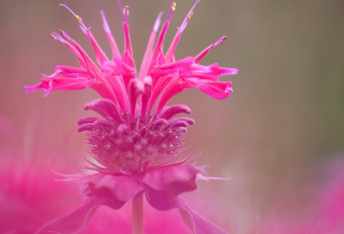 1689114788242927.png image.png