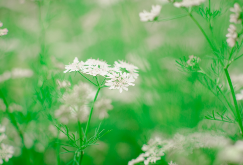 1689115121489739.png image.png