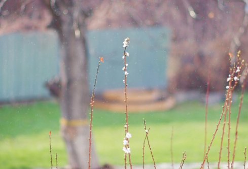 1689115955351044.png image.png