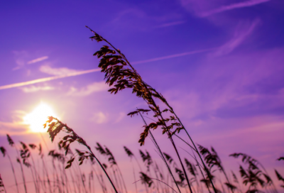 ​午造句,用午怎么造句