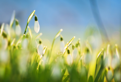 ​叹造句,用叹怎么造句