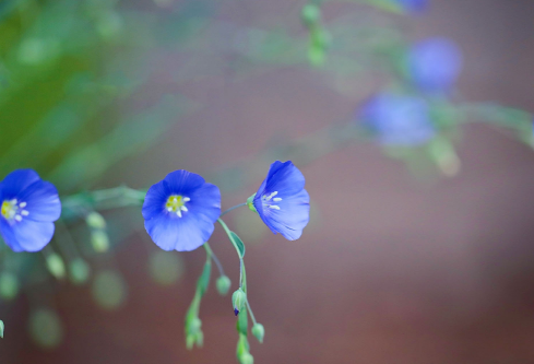 1689117622714173.png image.png