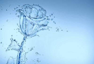 ​五谷丰登造句,用五谷丰登怎么造句