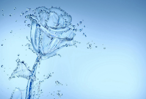 1689117955847261.png image.png