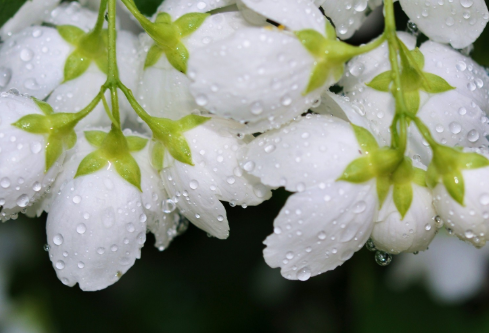 1689118122585873.png image.png