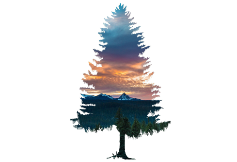 1689119121539669.png image.png