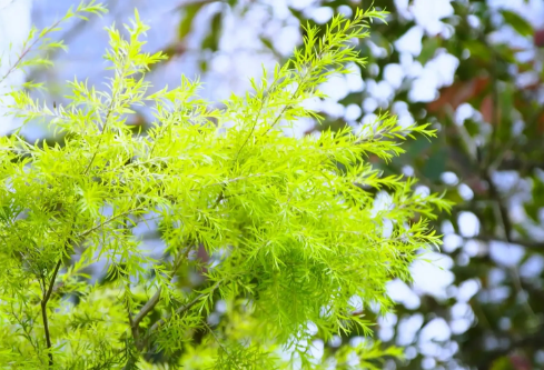 1689121120771909.png image.png