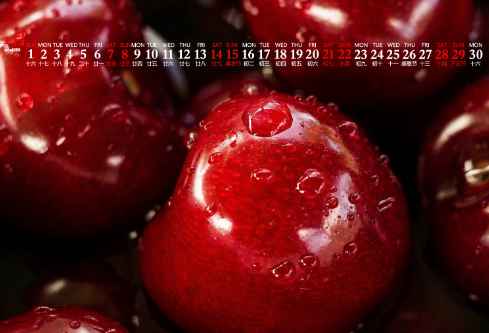 1689121453793121.png image.png