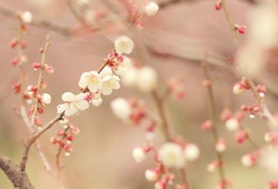 ​湖光山色造句,用湖光山色怎么造句