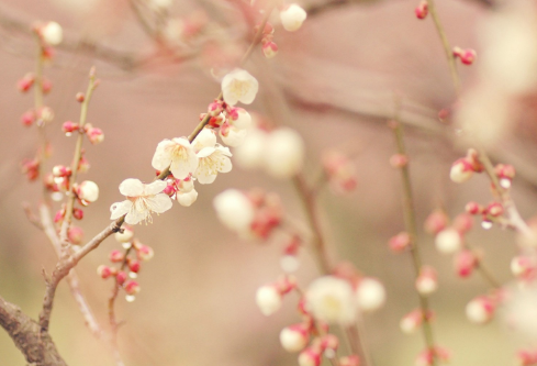 1689124118646730.png image.png