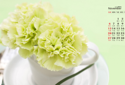 ​披星戴月造句,用披星戴月怎么造句