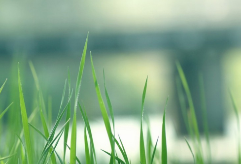 1689124617363525.png image.png