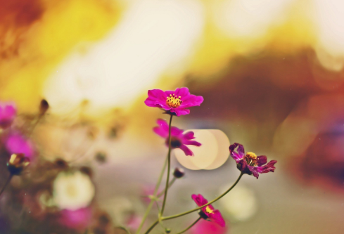 1689125118843535.png image.png