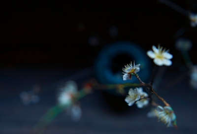 ​连也造句,用连也怎么造句