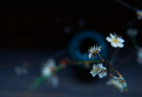 1689125284936532.png image.png