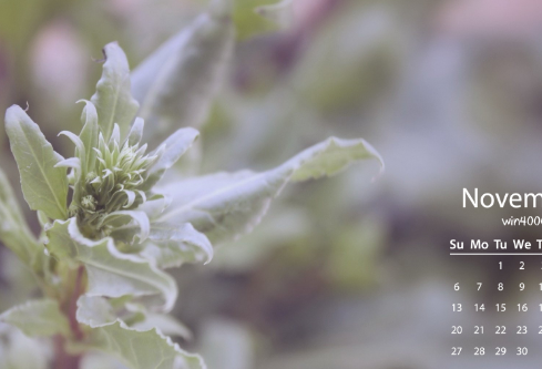 1689125617323631.png image.png