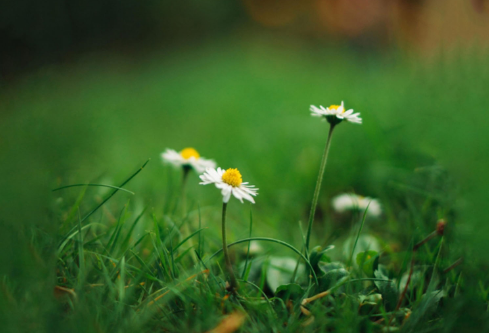 1689126284178587.png image.png