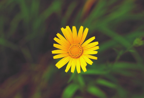 1689126450323949.png image.png