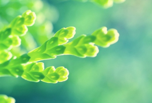 1689126950583357.png image.png