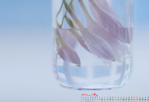 1689127117568186.png image.png