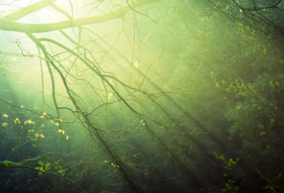 ​七造句,用七怎么造句