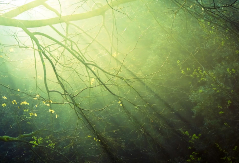 1689127450353765.png image.png