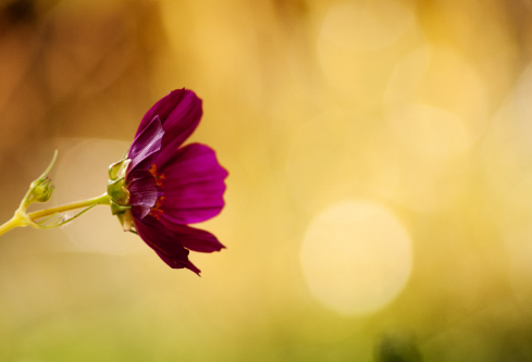 1689127616696379.png image.png