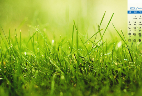 1689128116479187.png image.png