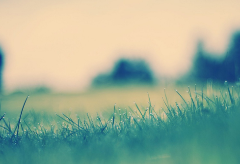 1689128449678853.png image.png