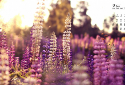 ​实话实说造句,用实话实说怎么造句