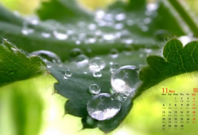 ​拉住造句,用拉住怎么造句